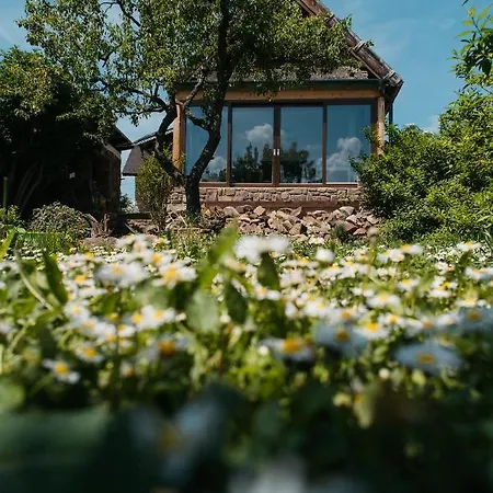 克塞灵宅邸旅馆 Révfülöp